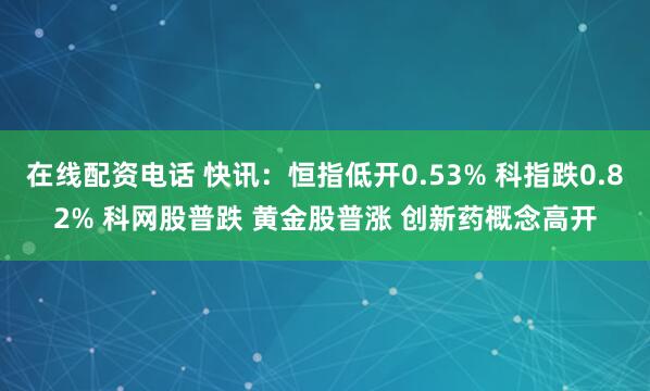 在线配资电话 快讯：恒指低开0.53% 科指跌0.82% 科网股普跌 黄金股普涨 创新药概念高开